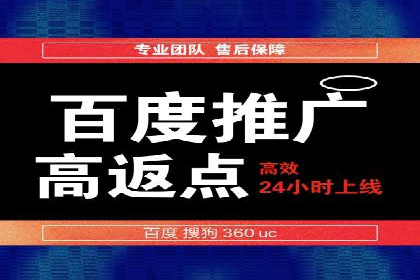行业领先企业的SEM广告策略与效果分析